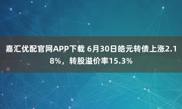 嘉汇优配官网APP下载 6月30日皓元转债上涨2.18%，转股溢价率15.3%