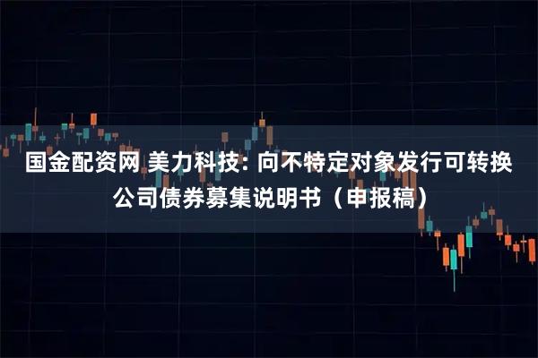 国金配资网 美力科技: 向不特定对象发行可转换公司债券募集说明书(申报稿)